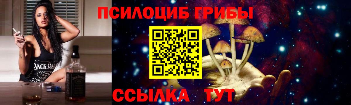 Волгоград  Псилоцибиновые грибы Magic Shrooms  Вход с VPN  Галлюциногенные грибы мицелий 